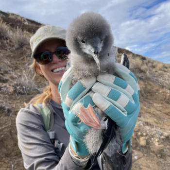 Saving Hawaii’s Seabirds with Dr. Jenni Learned